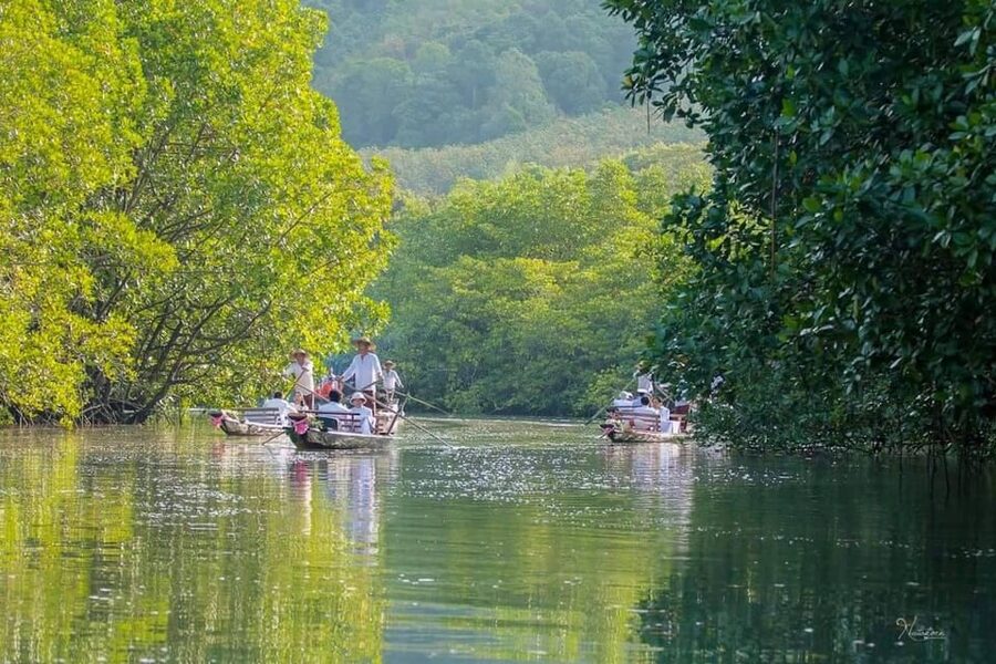 Koh Chang: Mangrove Forest Gondola Tour - Making the most of your 40 minutes