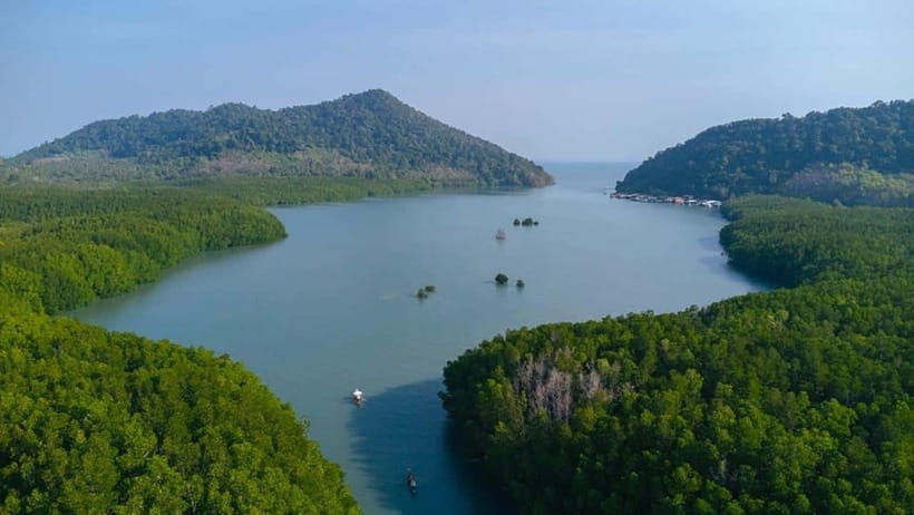 Koh Chang: Mangrove Forest Gondola Tour - Forty minutes among the mangrove trees