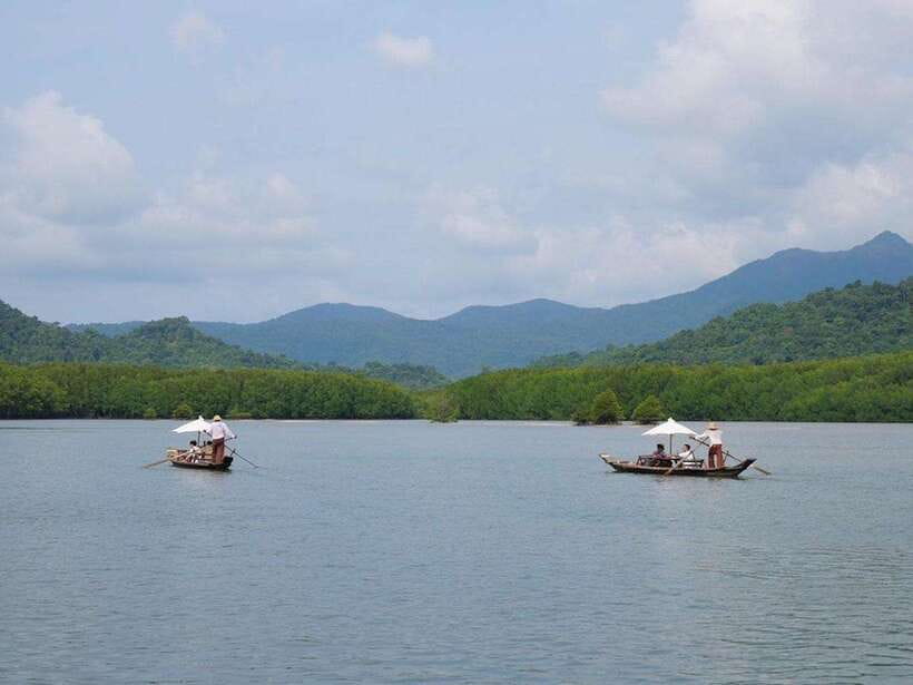 Koh Chang: Mangrove Forest Gondola Tour - Why the paddle-powered boat matters