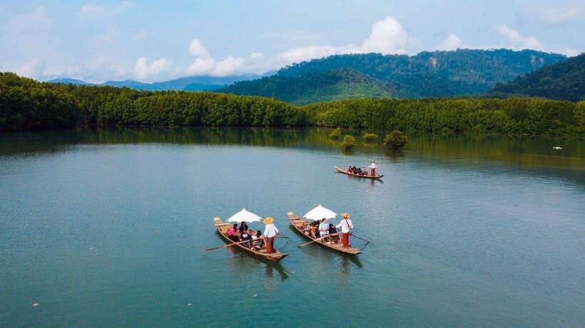 Koh Chang: Mangrove Forest Gondola Tour - How the price compares with the experience