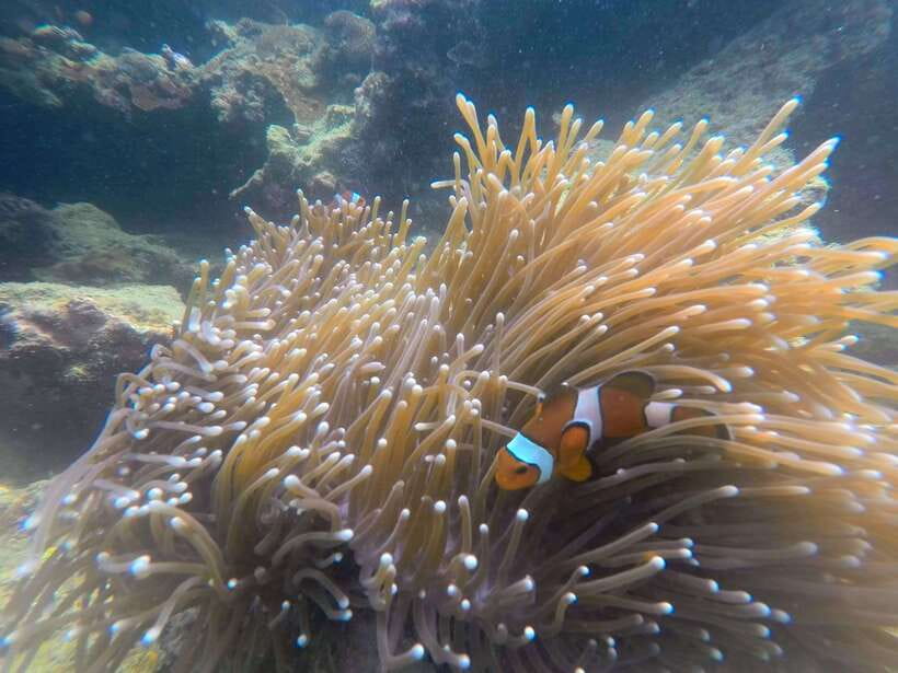 Koh Lanta: 4-Island Adventure Tour to Emerald Cave - Koh Ngai closes the day on a quieter note