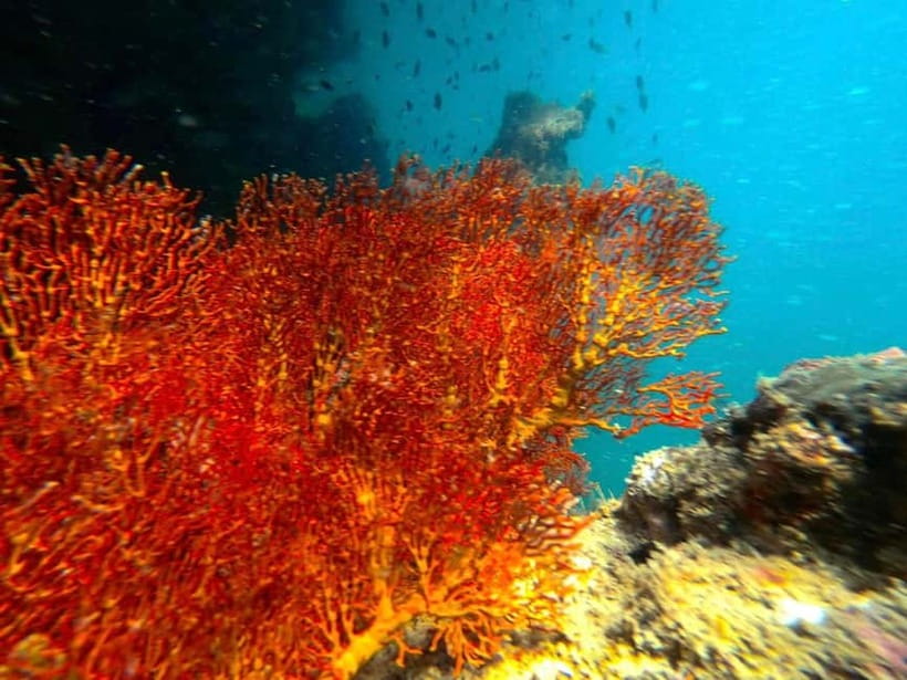 Koh Lanta: 4 Islands and Emerald Cave Snorkeling Trip - Swimming through Morakot Cave at Koh Muk