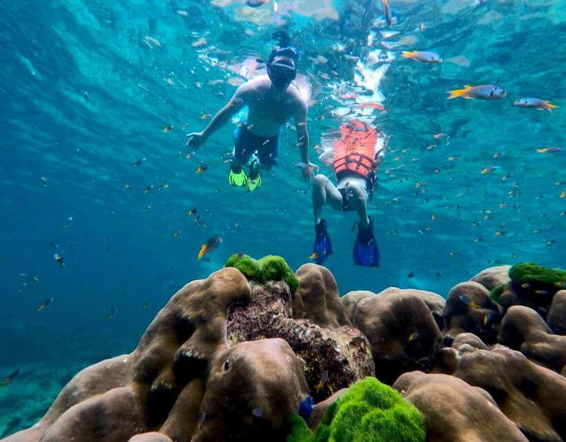 Koh Lanta: 4 Islands, Emerald Cave & Koh Kradan by Speedboat - Koh Chueak: turquoise water with mixed snorkeling