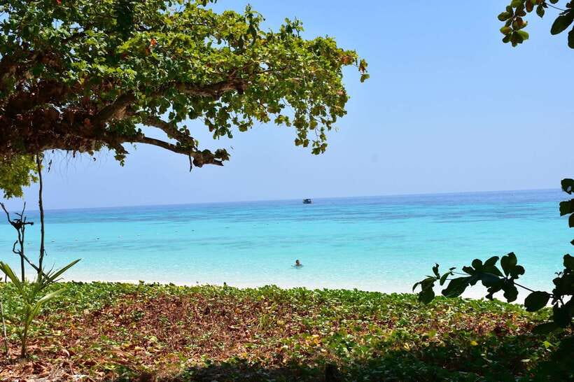 Koh Lanta: Adventure Sea Tour to Koh Rok and Koh Haa - Key points to know before you go