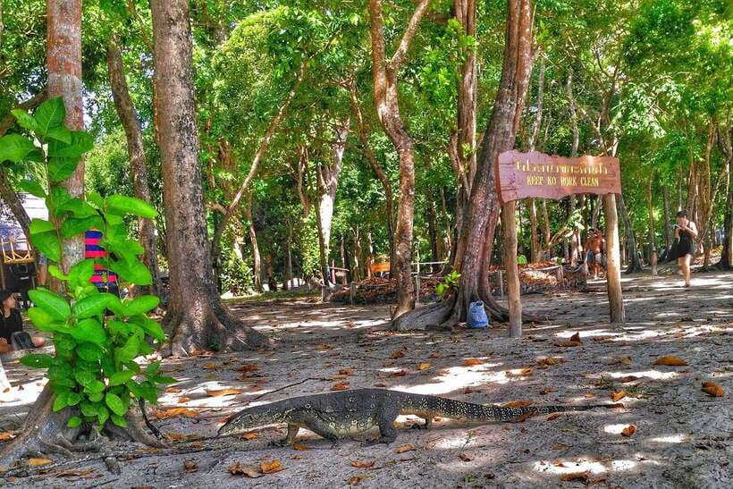 Koh Lanta: Adventure Sea Tour to Koh Rok and Koh Haa - Beach walks, the waterfall, and Pha Samed Daeng