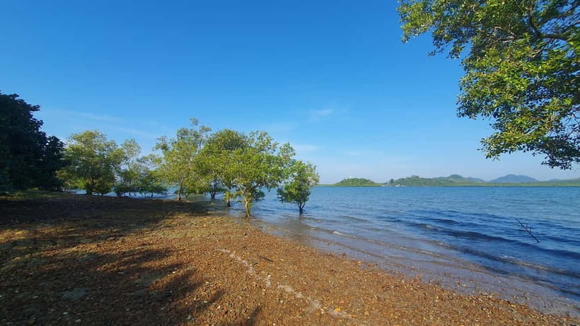 Koh Lanta Cultural Tuk-Tuk Tour: Old Town, Batik & Mangroves - Key points at a glance
