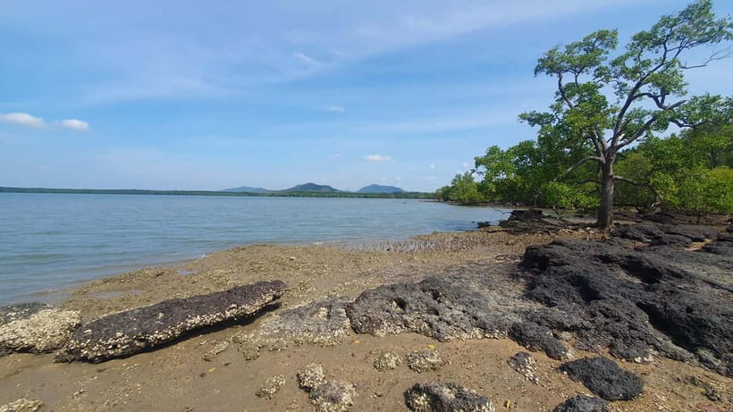 Koh Lanta Cultural Tuk-Tuk Tour: Old Town, Batik & Mangroves - Who should book this Koh Lanta outing?