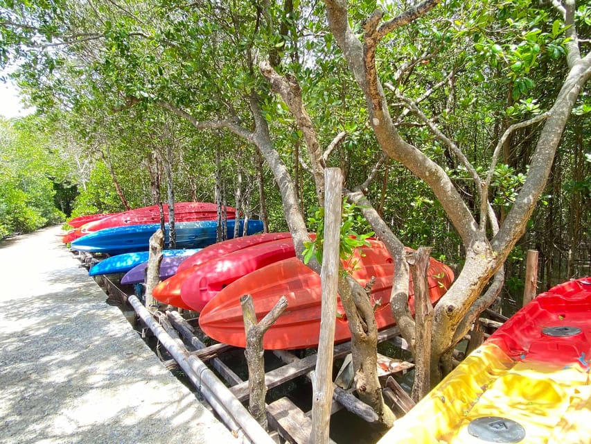 Koh Lanta:Mangrove + Elephant Camp Half Day Tour - Key points at a glance