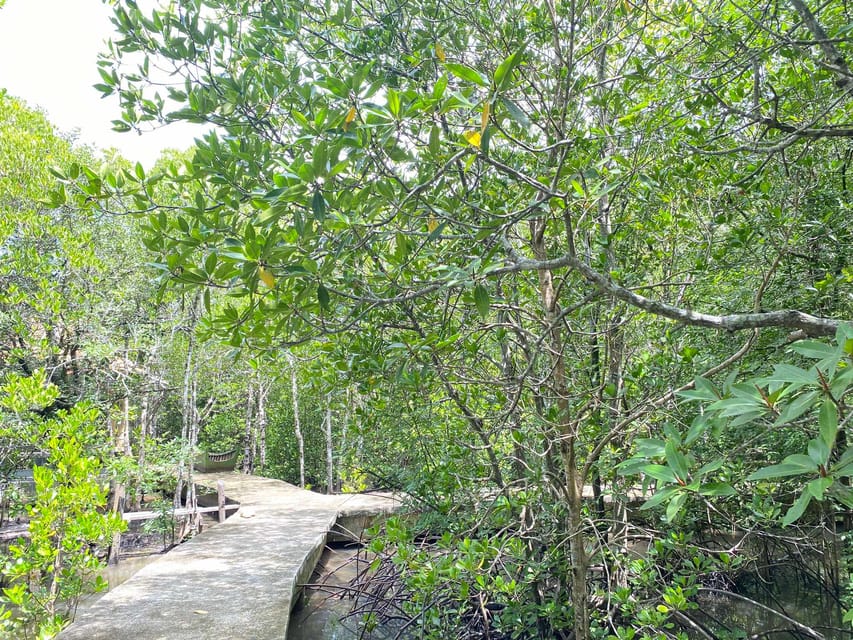 Koh Lanta:Mangrove + Elephant Camp Half Day Tour - Booking details worth knowing
