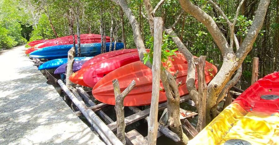 Koh Lanta:Mangrove + Elephant Camp Half Day Tour - Why this four-hour Koh Lanta tour works