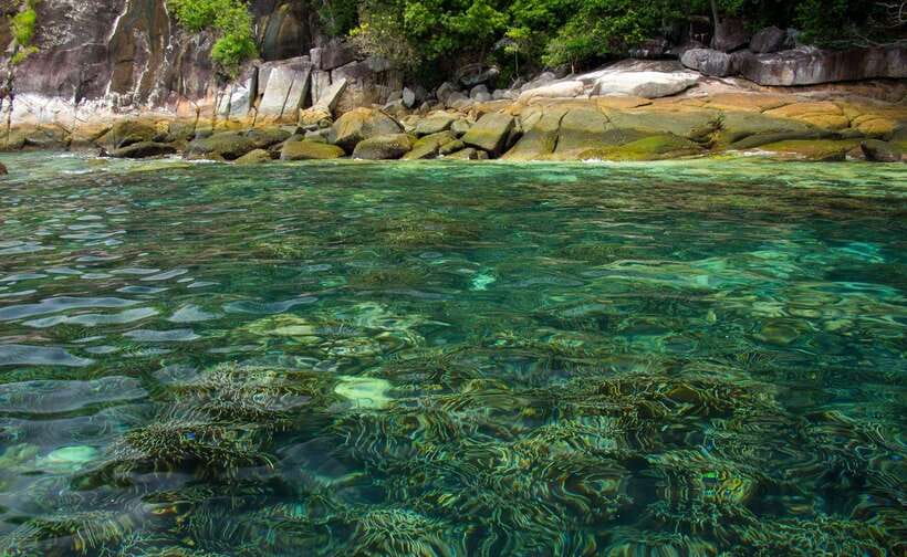 Koh Lipe: 5 Island Snorkeling Trip by Longtail Boat w/ Lunch - Koh Rawi: the best lunch setting