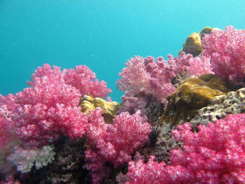 Koh Lipe: 5 Island Snorkeling Trip by Longtail Boat w/ Lunch - Hin Ngam: polished stones and a photo stop
