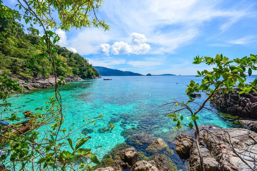 Koh Lipe: 7 Island Snorkeling Trip by Longtail Boat w/ Lunch - Koh Peung: sea fans and underwater texture