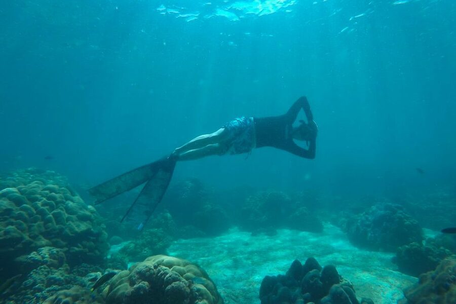Koh Lipe: Full Day Multi-Island Snorkeling Trip with Lunch - Key points to know before booking