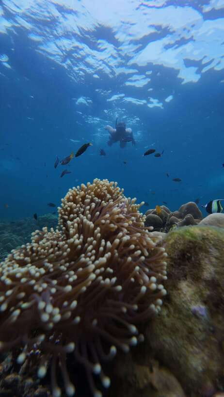 Koh Lipe: Half-Day Snorkeling (Morning/Afternoon/Sunset) - Hin Ngam’s Black Stone Shore