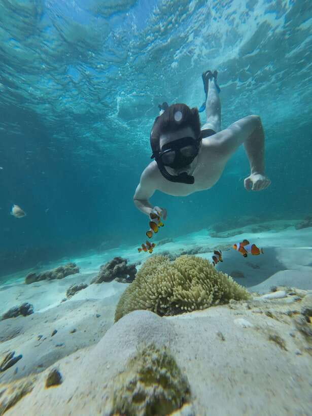 Koh Lipe: Half-Day Snorkeling (Morning/Afternoon/Sunset) - Koh Yang and the Shallow Reef