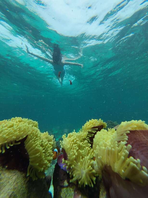Koh Lipe: Half-Day Snorkeling (Morning/Afternoon/Sunset) - Koh Rawi’s White Beach Break