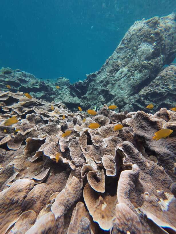 Koh Lipe: Half-Day Snorkeling (Morning/Afternoon/Sunset) - Sailing Boat Bay and the Late-Day Finish