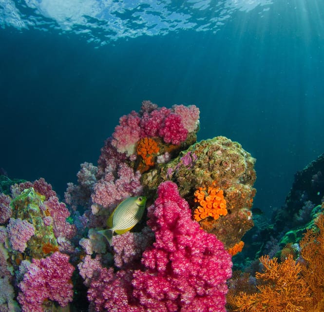 Koh Lipe: Island Hopping by Private Longtail Boat w/ Snorkel - Snorkeling, equipment, and time in the water