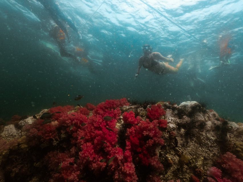 Koh Lipe: Longtail Boat Snorkeling Trip Program A - Why this $19 trip is such a good Koh Lipe value