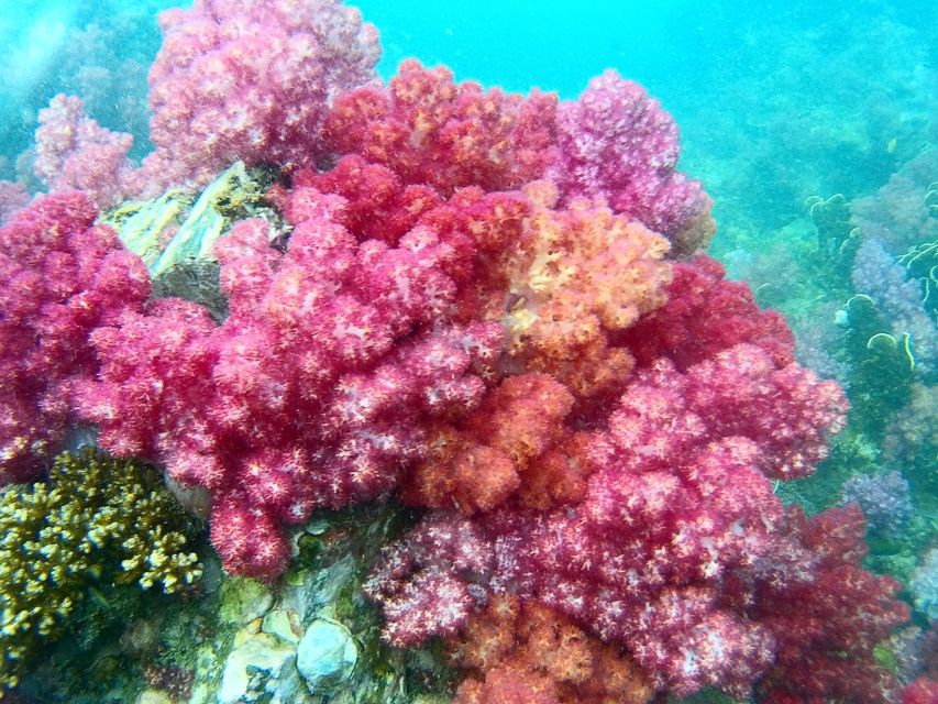 Koh Lipe Snorkeling Trip 6 hours Trip1 - Who will enjoy this Koh Lipe snorkeling trip?