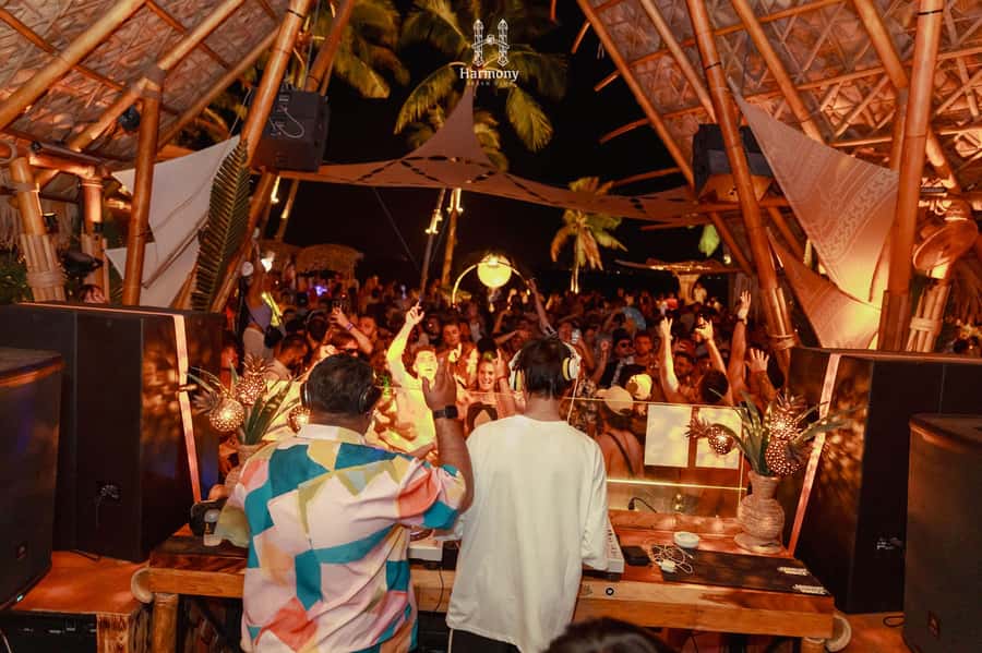 Koh Phangan: Halfmoon Festival (Party Tickets) - Who will enjoy this most