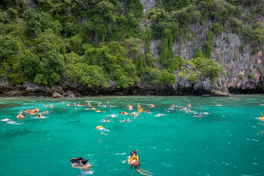 Koh Phi Phi: Join Longtail Boat to Maya Bay and Pileh Lagoon - Monkey Beach: a short stop with real drawbacks