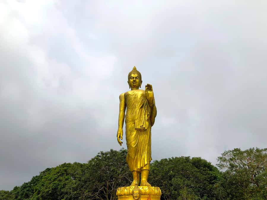 Koh Samui: 4x4 Off Road Island Safari Tour Including Lunch - The value of $40, and what you actually receive