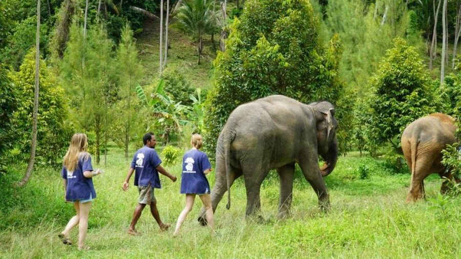 Koh Samui: 4x4 Sightseeing Safari & Elephant Sanctuary Tour - A full-island sampler with a real adventure element