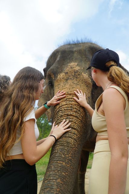 Koh Samui: 4x4 Sightseeing Safari & Elephant Sanctuary Tour - Coconut plantation and the working side of the island