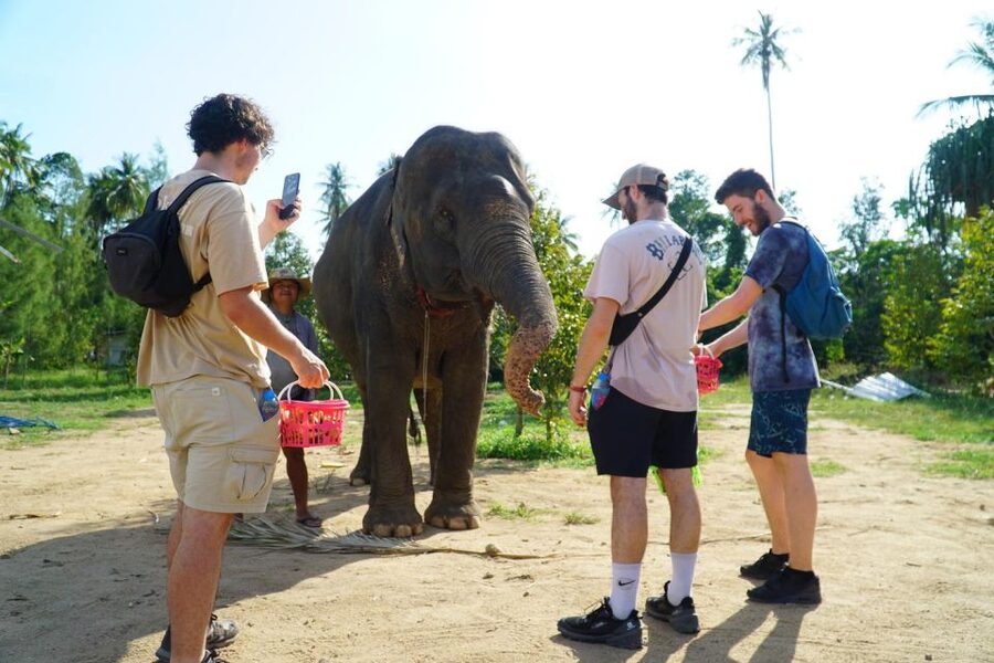 Koh Samui: 4x4 Sightseeing Safari & Elephant Sanctuary Tour - Mountain roads and rooftop views