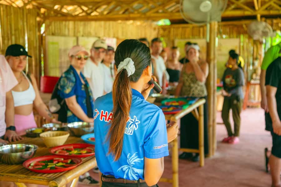 Koh Samui: Elephant Sanctuary and Jungle Tour with Lunch - Key points to know before booking