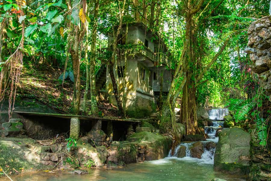 Koh Samui: Elephant Sanctuary and Jungle Tour with Lunch - The 4WD ride adds real mountain adventure