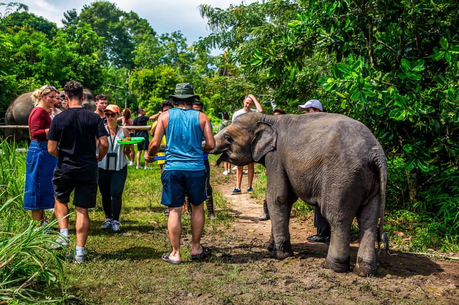 Koh Samui: Elephant Sanctuary and Jungle Tour with Lunch - Na Muang Waterfall is a quick, useful first stop