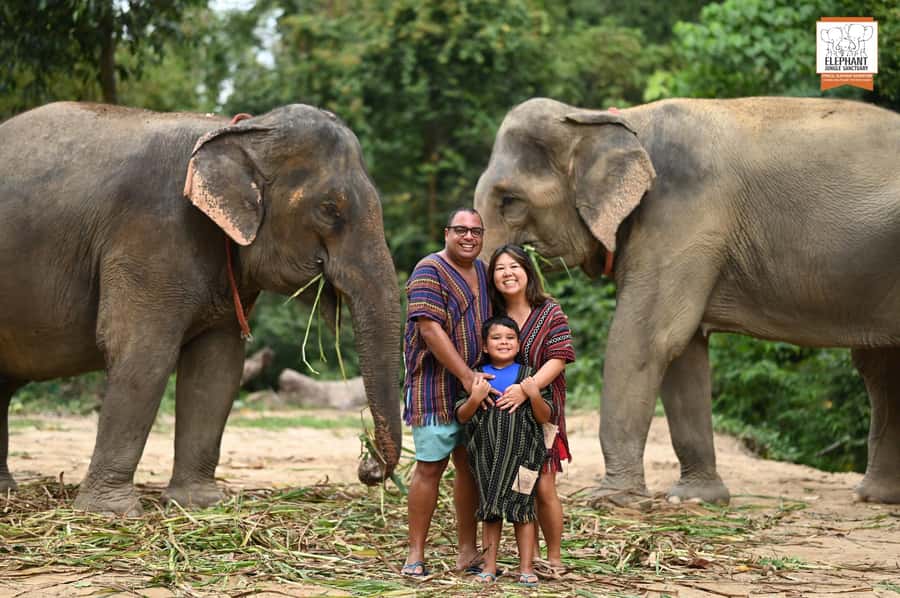 Koh Samui: Elephant Sanctuary Entry and Feeding Experience - What your one hour looks like
