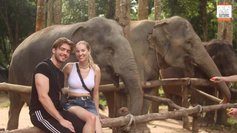 Koh Samui: Elephant Sanctuary Entry and Feeding Experience - A sanctuary visit built around choice