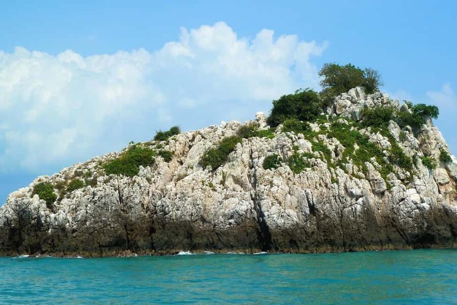 Koh Samui: Fishing Day Tour by Escort Boat with Mr. Tu - Key points to know before booking