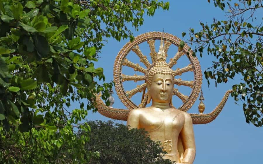 Koh Samui: Half-Day Highlights Tour with Hotel Transfers - A fast introduction to Koh Samui’s main sights