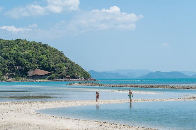 Koh Samui: Island Hopping Adventure in Coral and Pig Island - Key points before you book