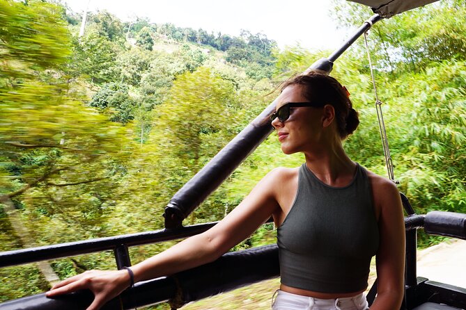 Koh Samui Jungle Safari By JEEP With MR.UNG (Including Lunch) - Secret Buddha Garden, handmade statues in the hills