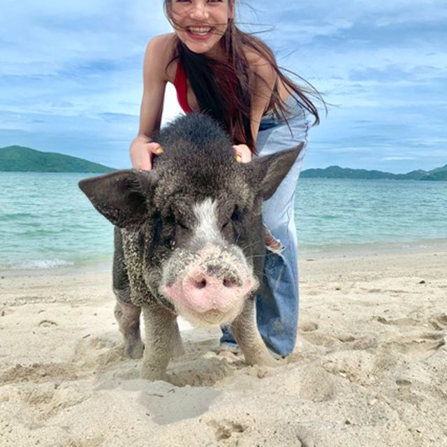 Koh Samui: Pig Island & Koh Tan Snorkeling by Speed boat - Snorkeling at Koh Tan depends on the day