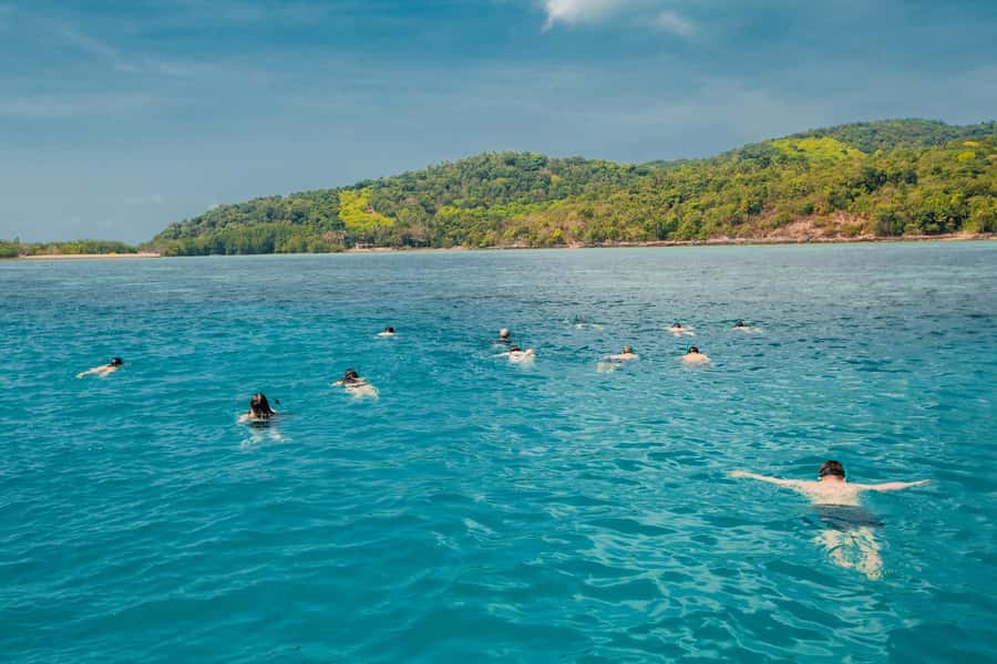 Koh Samui: Pig Island & Koh Tan Speedboat Tour with Lunch - Feeding the pigs on Koh Madsum