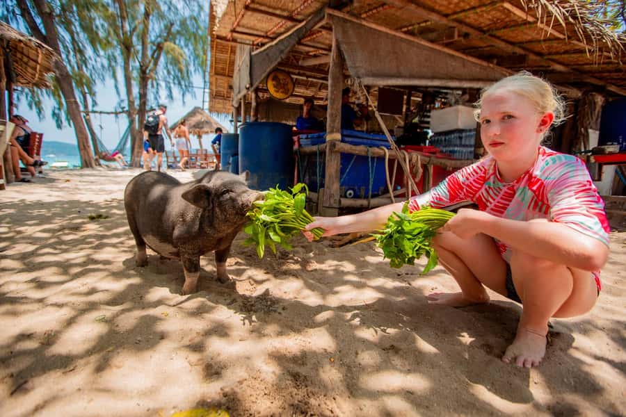 Koh Samui: Pig Island & Koh Tan Speedboat Tour with Lunch - Lunch and the return to Koh Samui