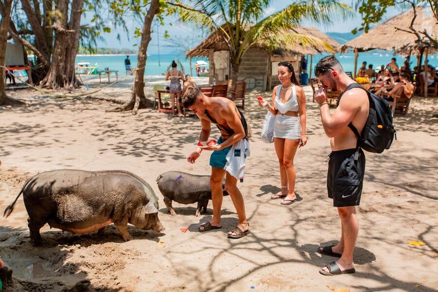 Koh Samui: Pig Island & Koh Tan Speedboat Tour with Lunch - Who will enjoy this five-hour outing