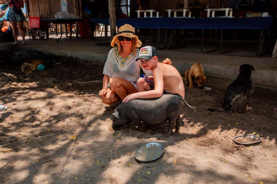 Koh Samui: Pig Island & Koh Tan Speedboat Tour with Lunch - Booking details worth checking first