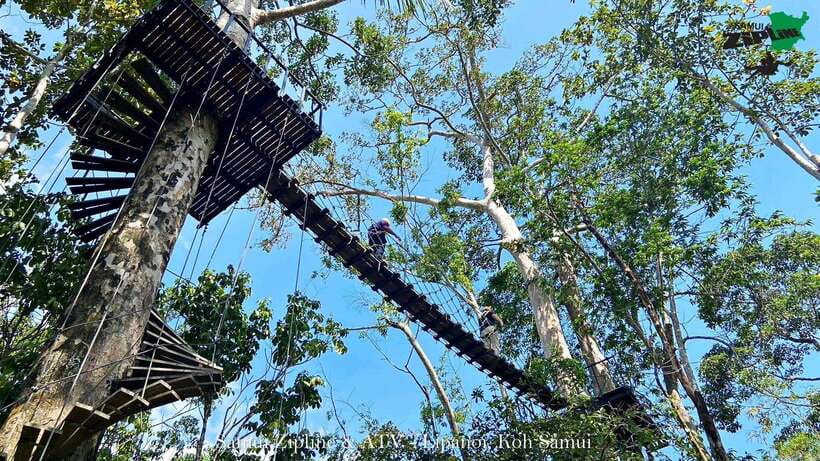 Koh Samui: Samui Zipline Adventure with Transfer service - Is $57 good value?