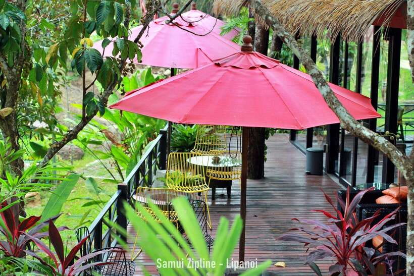 Koh Samui: Samui Zipline Adventure with Transfer service - Who should skip this activity