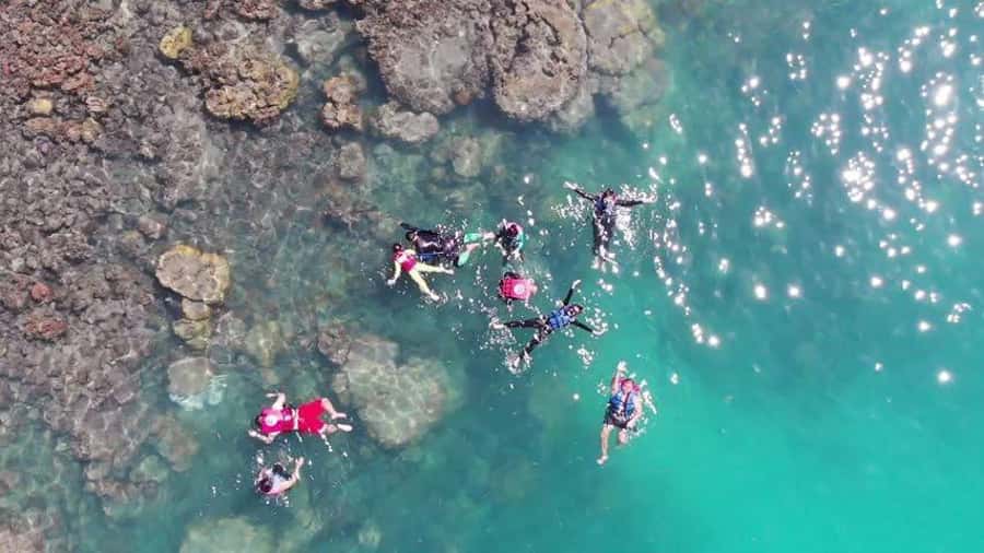 Koh Samui: Sunset Pig Island and Snorkeling Koh Tan w/Dinner - From Koh Samui to Koh Tan by Speedboat