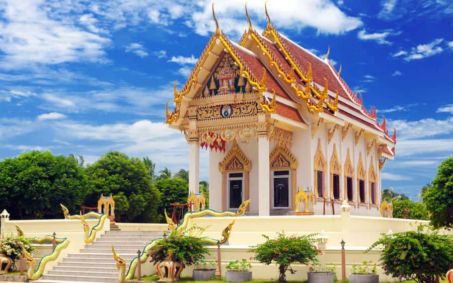 Koh Samui: Travstore Original Koh Samui Discovery Tour - Hin Ta Hin Yai Rocks and the stories behind them