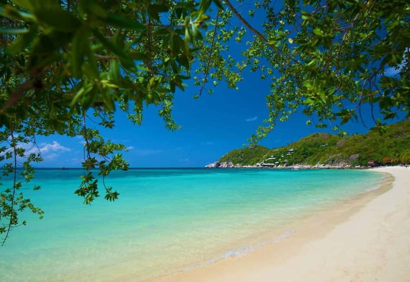 Koh Tao: First Light Snorkel Adventure with Oxygen Tours - An early start from Koh Tao